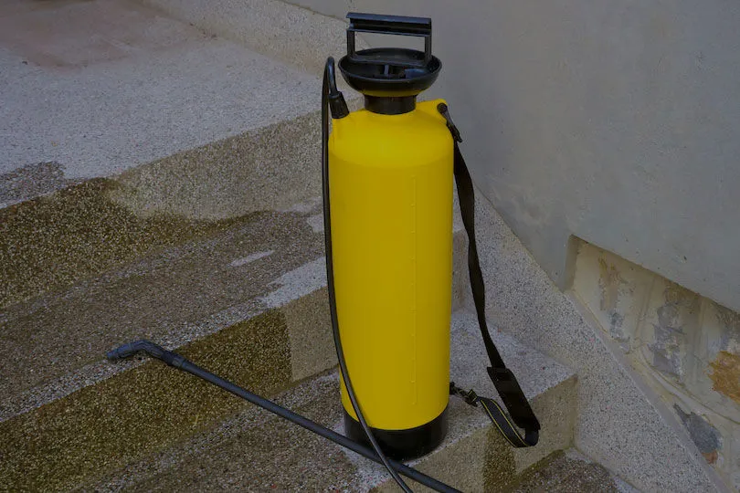 Derattizzazione a Verona